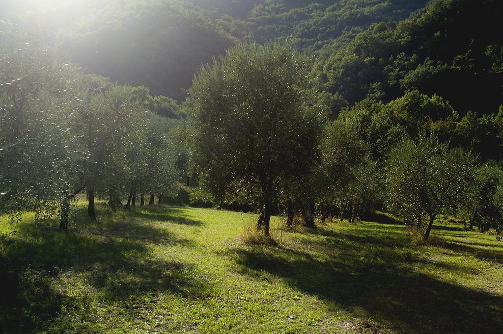Country Room Il Moro Rignano sullʼArno Dış mekan fotoğraf