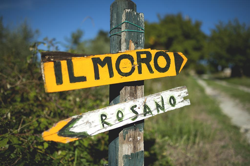 Country Room Il Moro Rignano sullʼArno Dış mekan fotoğraf